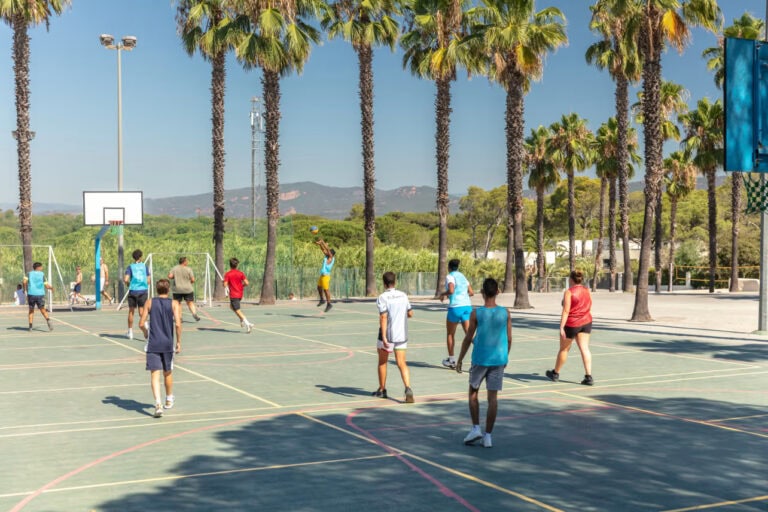 DP Continental Camping La Baume - La Palmeraie 1