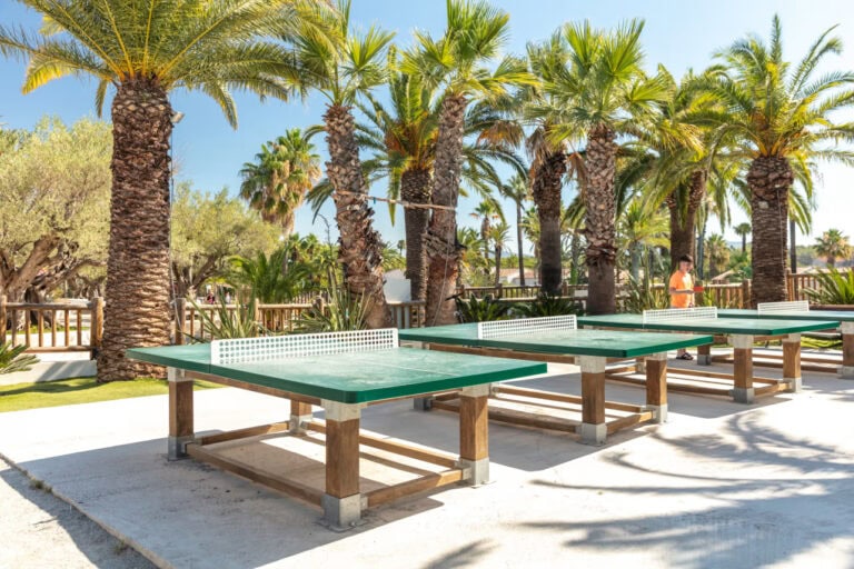 DP Continental Camping La Baume - La Palmeraie 14