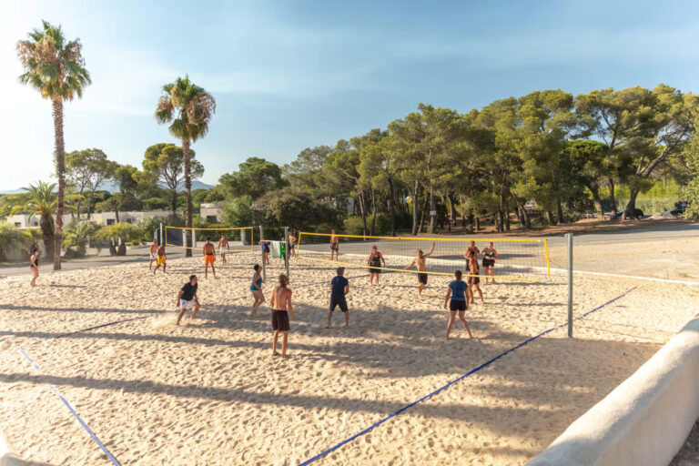 DP Continental Camping La Baume - La Palmeraie 17