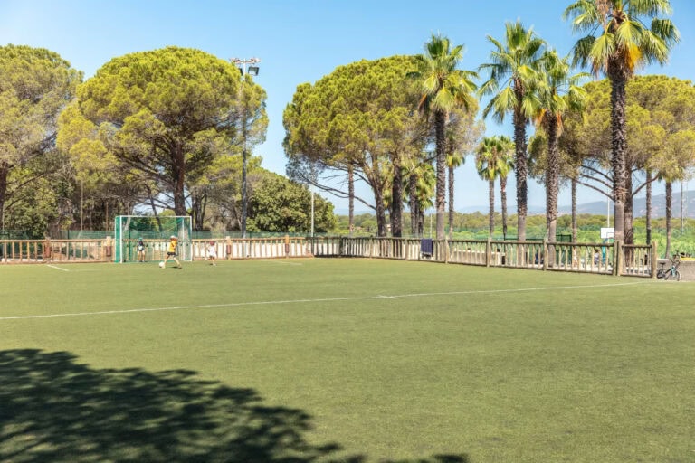 DP Continental Camping La Baume - La Palmeraie 5